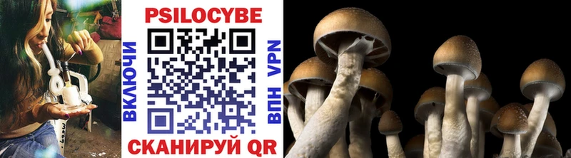 Псилоцибиновые грибы Magic Shrooms  купить наркоту  Печора 