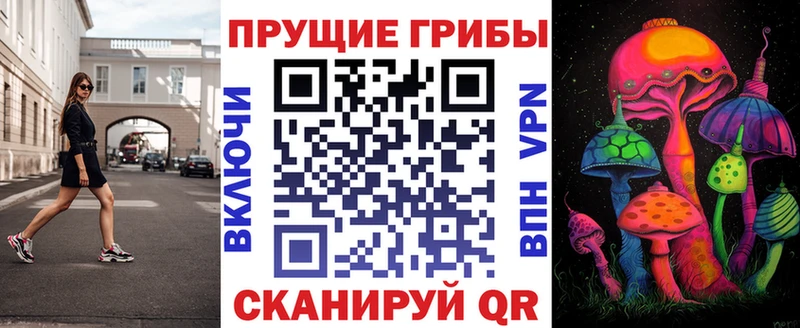 Псилоцибиновые грибы GOLDEN TEACHER Печора